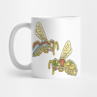 Honey Bee Anatomy Illustration Mug